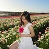 tiffanyle_